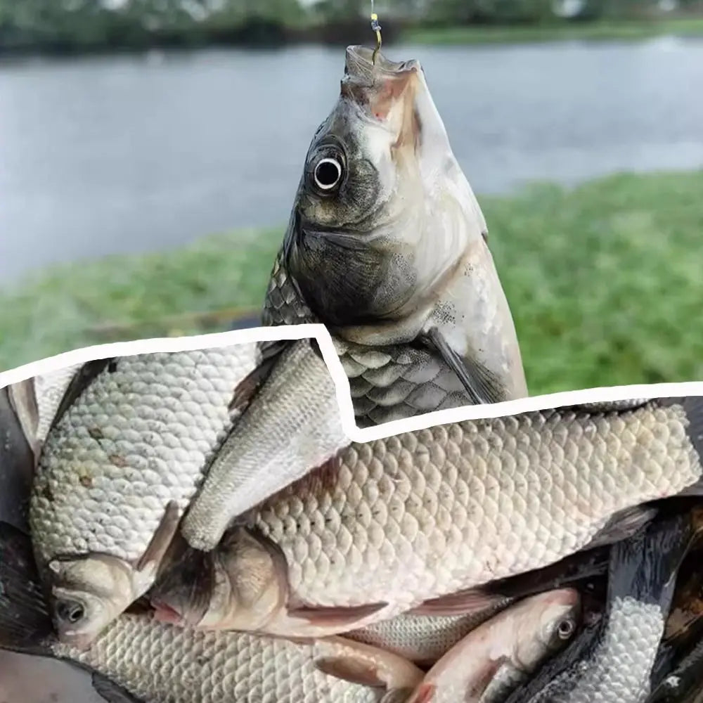 12 Pcs/Pack Durable 1#-10# High Carbon Steel Gold Fishing Hook Sharp Barbed Anti Slip Automatic Flip Fishhook Fishing Tackle